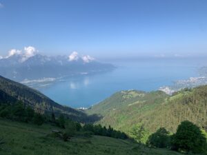 Lausanne